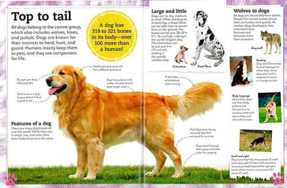 MY BOOK OF Dogs and Puppies 洋書