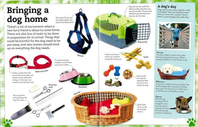 MY BOOK OF Dogs and Puppies 洋書