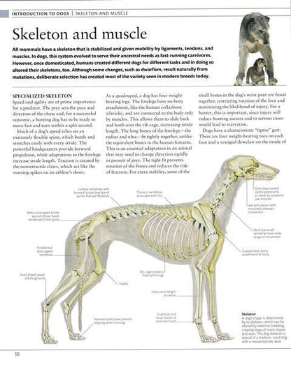 THE DOG ENCYCLOPEDIA THE DEFINITIVE VISUAL GUIDE