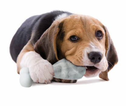 Pupsicle Dog Ice Lolly