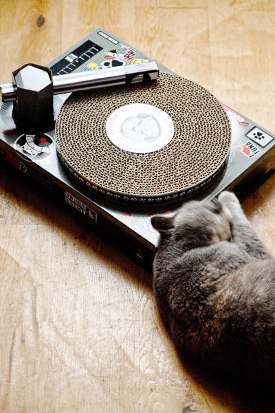 Cat DJ Scratching Deck