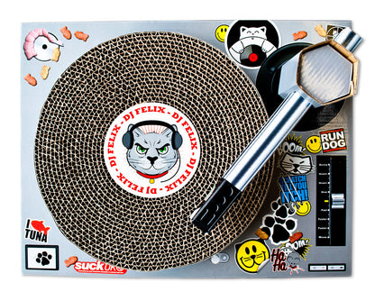 Cat DJ Scratching Deck