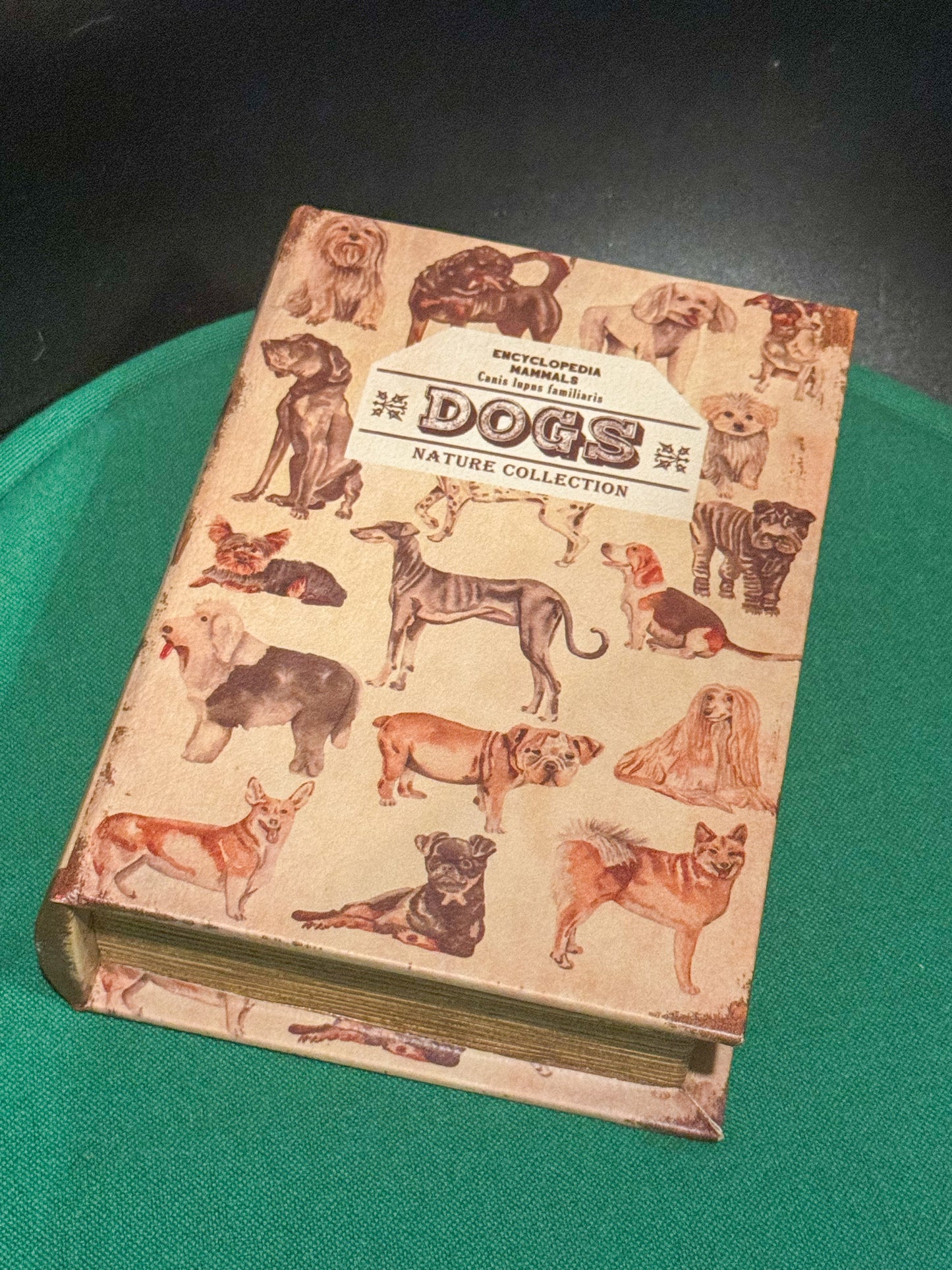 アンティーク風シークレット小物入れ